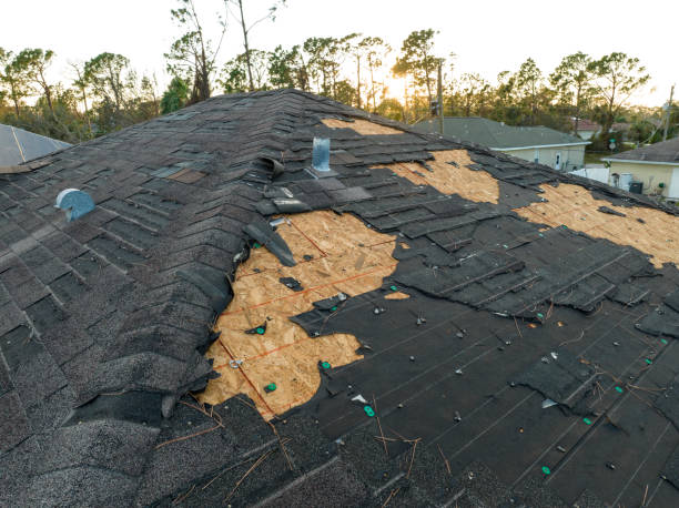 Best Storm Damage Roof Repair  in South Waverly, PA