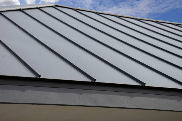 Best Solar Panel Roofing Installation  in South Waverly, PA